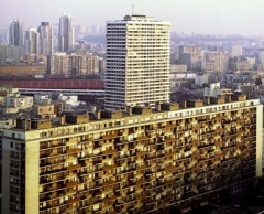919478-1137275.jpg