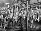 Abattoirs.jpg
