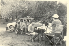 La foret 2.jpg