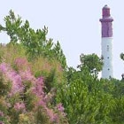 Phare 2.jpg
