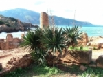 sites-historiques-tipaza-algerie-1202169917-1272036.jpg