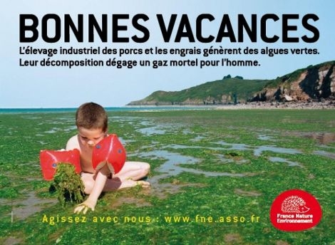 1602_Algues_vertes_France_Nature_Environnement.jpg