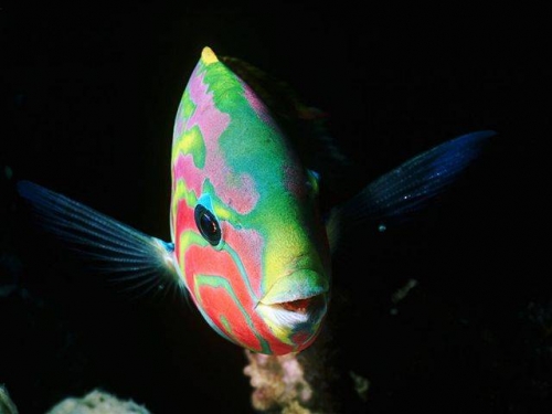 Image124.jpg