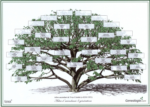Arbre enluminé0002.jpg