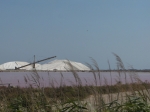 HPIM3768.JPG