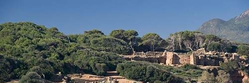 Tipaza mer.jpg