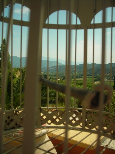 DSCN4630.JPG