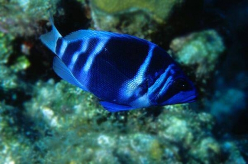 Image8.jpg