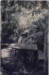 cartepostalearena2.jpg (538652 octets)