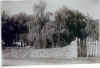 maison arena.jpg (213556 octets)