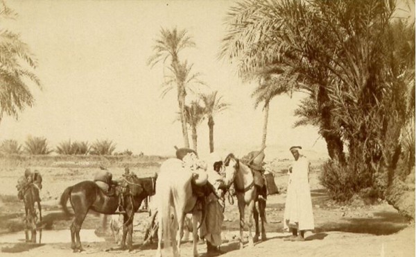 Biskra-extrait-collection Maure