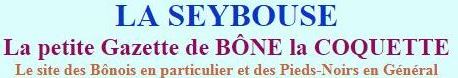 Image la seybouse