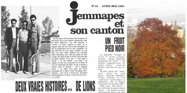 UneàlaUne-Jemmapes 31-der droit