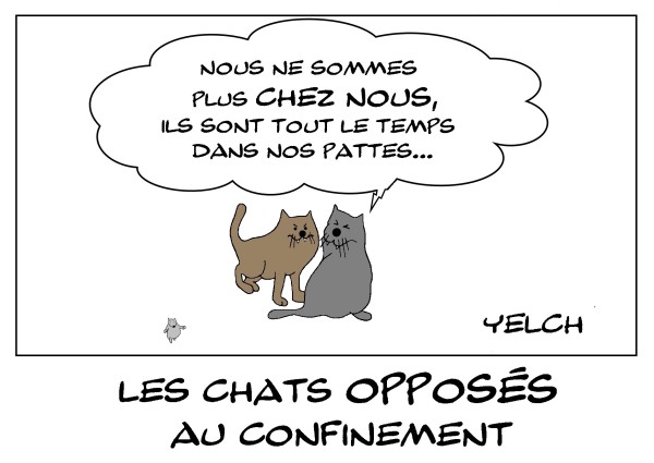 31-mars-2020-les-chats-opposes-au-confinement