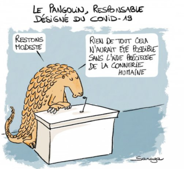 Une aide précieuse