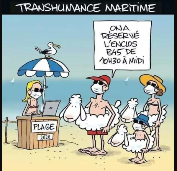 Transhumance-maritime Julia