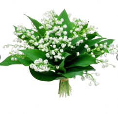 Muguet réduit