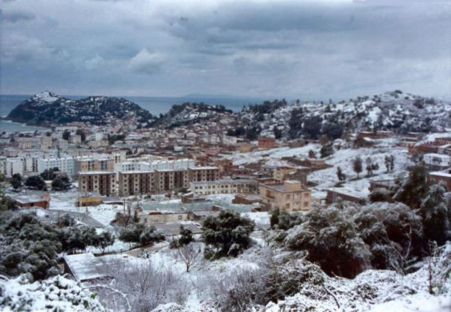 Collo sous la neige
