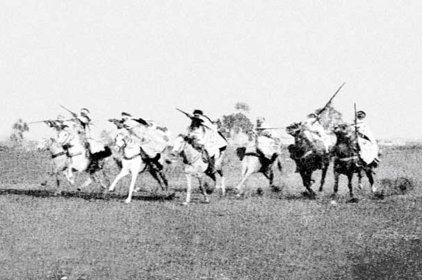 Cavalerie Berbere