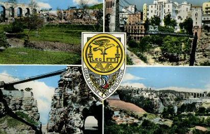 insigne stylis� de la 
Division de Constantine