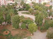 vuejardin.jpg (71406 octets)