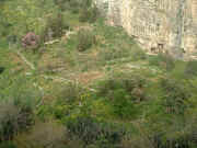 __hr_Dscf0009.jpg (138791 octets)