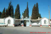 dsc05209.jpg (86529 octets)