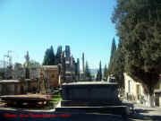 dsc05213.jpg (101979 octets)