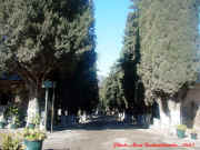 dsc05214.jpg (150847 octets)