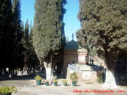 dsc05216.jpg (149623 octets)