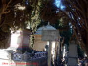 dsc05217.jpg (140988 octets)