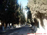 dsc05225.jpg (138311 octets)