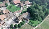 Constantine (Suisse)