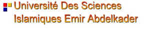 emir_aek.jpg (18581 octets)