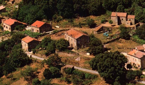 Marato