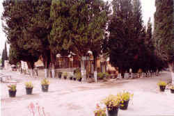cne110.jpg (70706 octets)