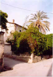 cne158.jpg (66283 octets)