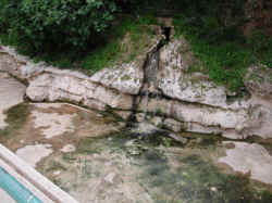 dscn0394.jpg (125252 octets)