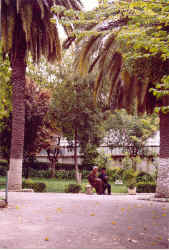 cne029.jpg (89955 octets)
