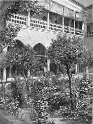 Le jardin des orangers