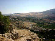 verslekoudiat.jpg (55281 octets)