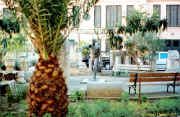 jardinsmuseecirta.jpg (55799 octets)