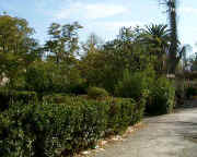 square gambetta 3.jpg (42542 octets)