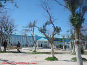 dsc05353.jpg (135099 octets)