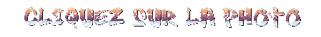 Cliquez sur la photo pour activer le forum