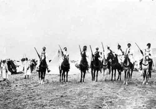 cavaliers arabes