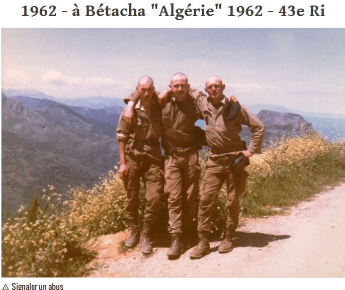 43 ri en algerie