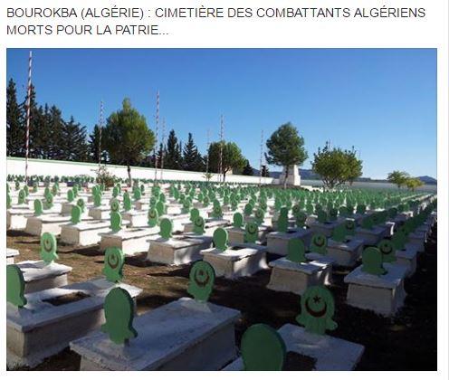 Cimetierre algerien