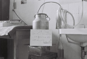  Fabrication clandestine de calva 
Une chauffe, un bidon de lait, 
un pot de confiture, un serpentin
