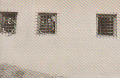  Les cellules de BARBEROUSSE
